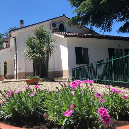 B&B Zac House Toirano Bagian luar foto